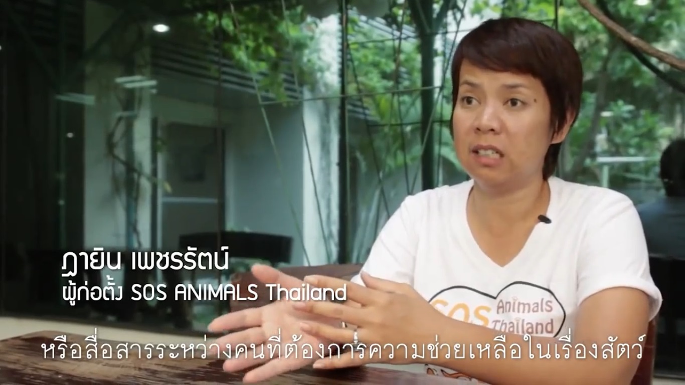 เปิดโลกอาสา : SOS ANIMALS Thailand